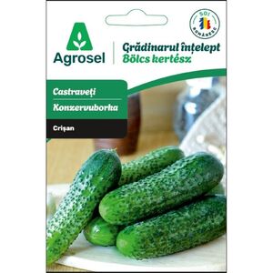 Agrosel Uborka Crisan Vetőmag 1.4g b&ouml;lcs kert&eacute;sz