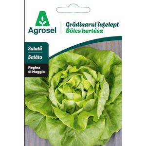 Agrosel Sal&aacute;ta M&aacute;jus Kir&aacute;lya Vetőmag 1.5g b&ouml;lcs kert&eacute;sz(Regina di Maggio)